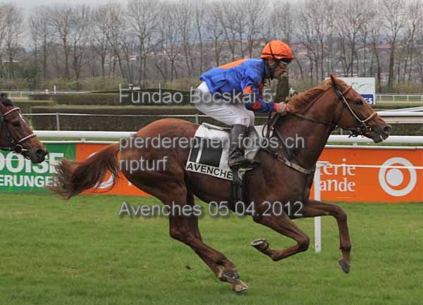 Fundao Bocskai 5 prot